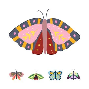 Hand drawn boho style moths and butterflies イラスト素材