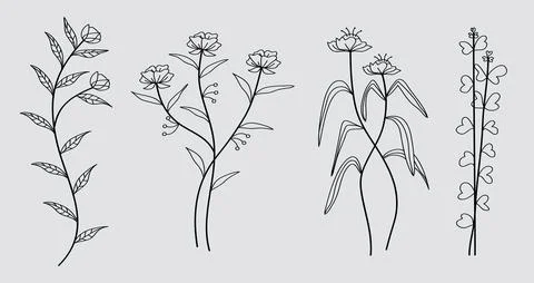Hand drawn botanical art continuous line drawing of abstract flower, floral.. Stock Illustration