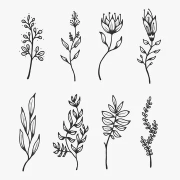 Hand drawn botanical decorative elements set 스톡 사진