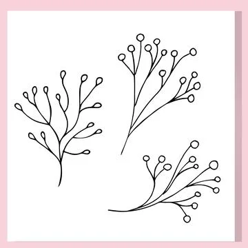 Hand-drawn botanical doodle set with three minimalist branches featuring ro.. Stock Illustration