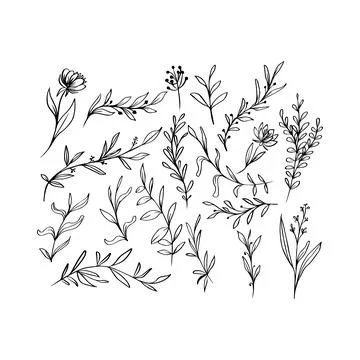 Hand-Drawn Botanical Elements Collection. Vector icon. 스톡 일러스트