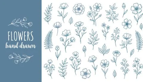 Hand Drawn Botanical Elements Collection Delicate Floral Illustrations. 스톡 일러스트