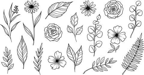 Hand-Drawn Botanical Elements: Flowers, Leaves, and Branches Sketch Art Stock Illustration