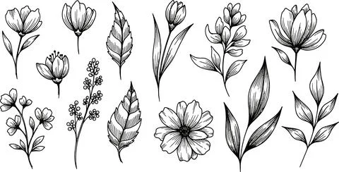 Hand-Drawn Botanical Elements: Flowers and Leaves Sketch Collection Illustrazione stock
