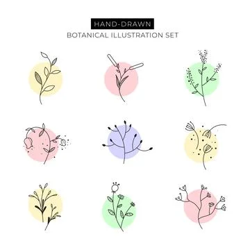 Hand drawn botanical elements with pastel color shades Stockillustratie