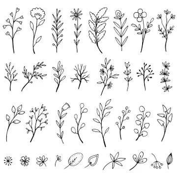 Hand Drawn Botanical Elements set. In flowers and branches set. Doodle style/ 库存插图