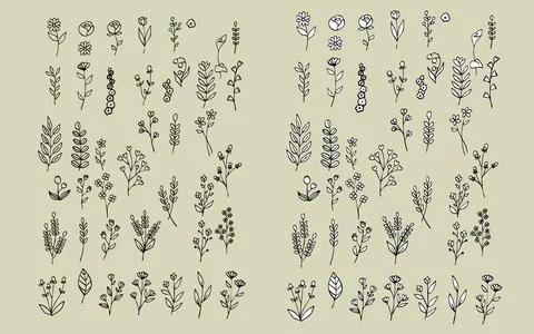 Hand-Drawn Botanical Elements Set Stock Illustration