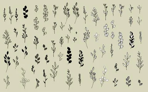 Hand-Drawn Botanical Elements Set Stock Illustration