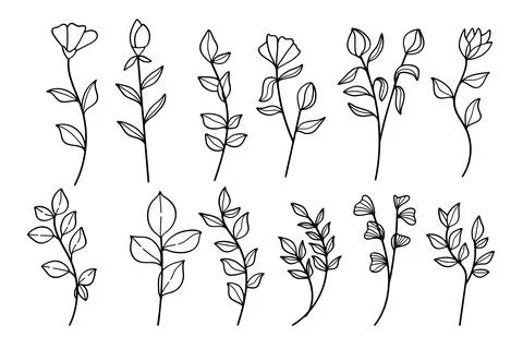 Hand drawn botanical floral elements line art collection. Stock Illustration
