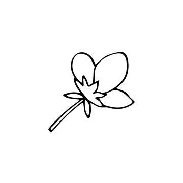 Hand-drawn botanical flower. Element of garden plant in doodle-style. Isola.. Stock Illustration