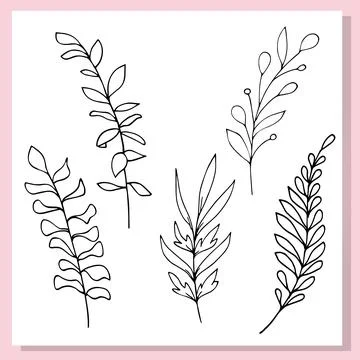 Hand Drawn Botanical Leaves Set  Doodle Line Art Stock Illustration