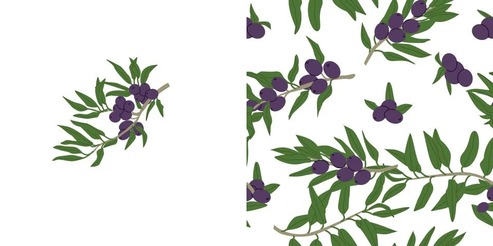 Hand drawn botanical pattern with black olives and olive tree branch. Stock Illustration