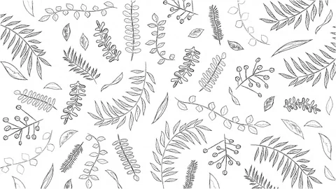 Hand Drawn Botanical Pattern Monochrome Seamless Loop 스톡 동영상 331416777