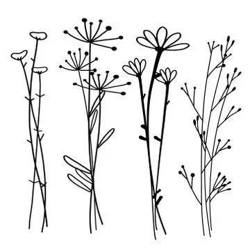 Hand drawn botanical set, Doodle floral element, Vector illustration. Stock Illustration