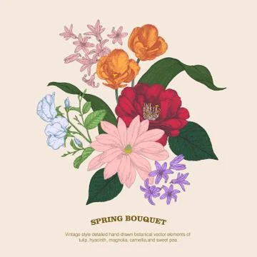 Hand-drawn botanical vector elements of spring bouquet Illustrazione stock