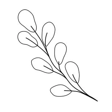 Hand drawn Botanical vector illustration. Stock Illustration