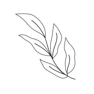Hand drawn Botanical vector illustration. Illustrazione stock
