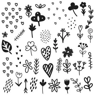 Hand drawn botany design elements in doodle style イラスト素材