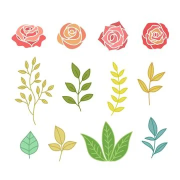 Hand Drawn Botany Set Of Flowers And Leaves Stock Illustration