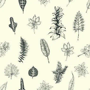 Hand drawn botany vector seamless pattern. Vintage background Stock Illustration