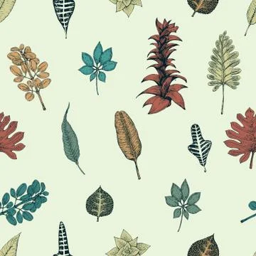 Hand drawn botany vector seamless pattern. Vintage background Stock Illustration