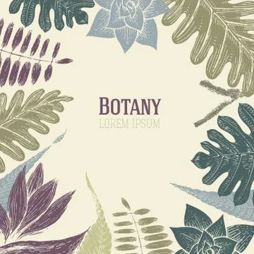 Hand drawn botany vector seamless pattern. Vintage background Stock Illustration
