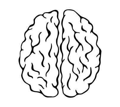 Hand Drawn Brain Idea Thinking Minimal Line Art Illustration Stock Illustration