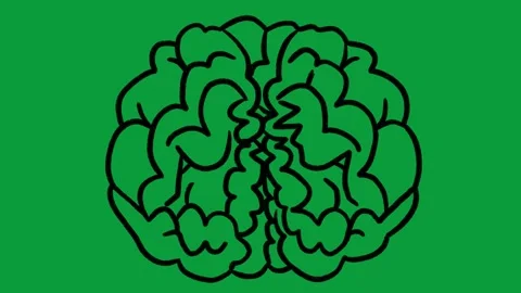 Hand Drawn Brain Outline 2D Animation Green Screen Overlay Stock Footage 341798212
