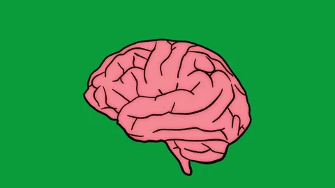 Hand Drawn Brain with Use Me Text Box 2D Animation Green Screen Vídeo Stock 341798207