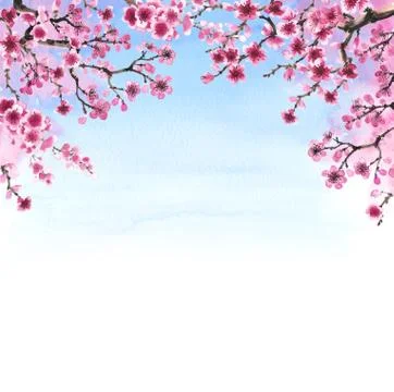 Hand-drawn branch of sakura Stock Illustration