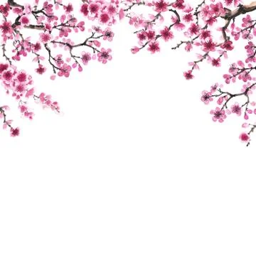 Hand-drawn branch of sakura Stock Illustration