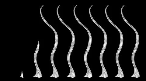 Hand drawn branches growing (sequence) Video stock 25259808