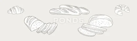 Hand Drawn Bread and Baked Goods and Pastry Vector Set Illustration ...