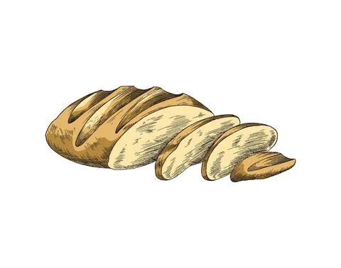 Hand drawn bread in colored sketch style, vector illustration isolated on white Illustrazione stock