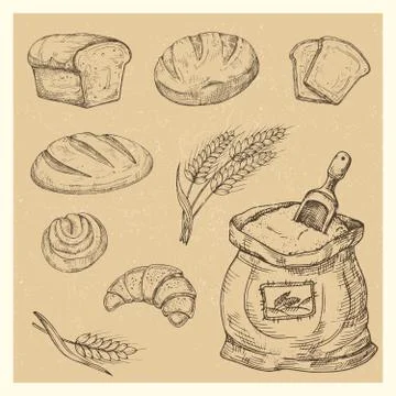 Hand drawn bread, rolls, croissant, meal vector set Stock Illustration