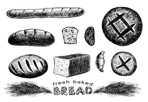Hand drawn bread set Illustrazione stock