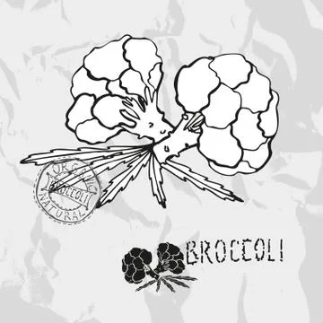 Hand drawn broccoli, design element. vegetable Stock Illustration