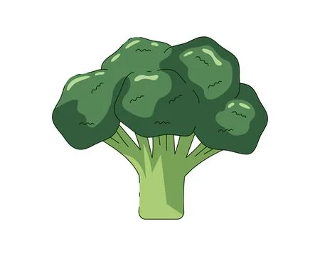 Hand drawn broccoli illustration in flat cartoon style Stock Illustration