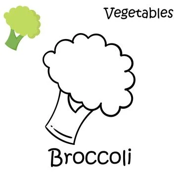 Hand drawn broccoli on a white background Stock Illustration