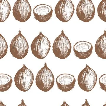 Hand drawn brown coconuts. Stock Illustration