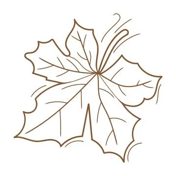 Hand drawn brown maple leaf line art. Stock Illustration