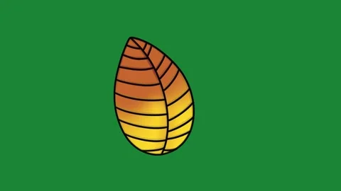 Hand-Drawn Brown Oval Leaf 2D Animation on Green Screen | Autumn Foliage  Stock Footage 334608900