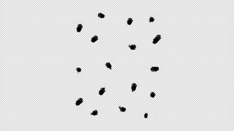 Hand Drawn Brush Tiny Lines Pattern Loop Transparent Stock Footage 319862437