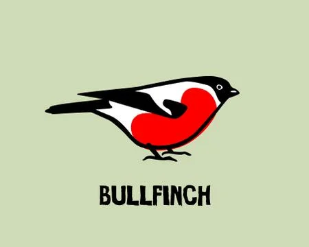 Hand drawn bullfinch Stock Illustration