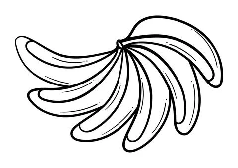 Hand drawn bunch of bananas Stock Illustration