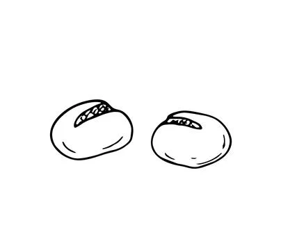Hand-drawn buns on white background Stock Illustration