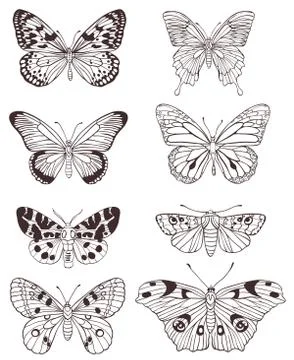 Hand drawn butterflies Stock Illustration