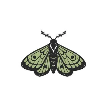 Hand-drawn butterfly moth Stock Illustration