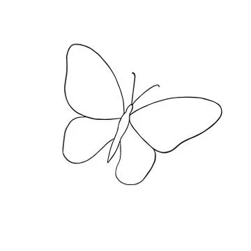 A hand drawn butterfly simple vector outline illustration, contour drawing Stock Illustration