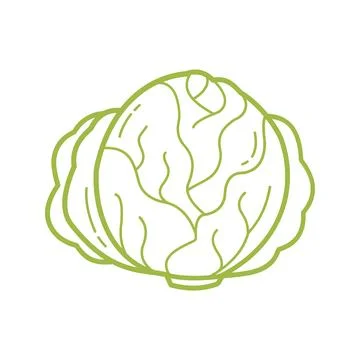Hand Drawn Cabbage Outline Icon for Healthy Food and Cooking Design Illustrazione stock